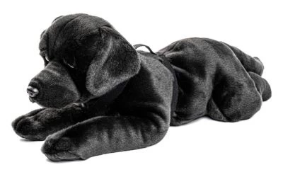 UNI-TOYS® Labrador Schwarz, Liegend - 60 Cm (Länge) - Plüsch-Hund, Haustier - Plüschtier Kuscheltiere 4 UNI-TOYS® Labrador Schwarz, Liegend - 60 Cm (Länge) - Plüsch-Hund, Haustier - Plüschtier Kuscheltiere – Bild 2
